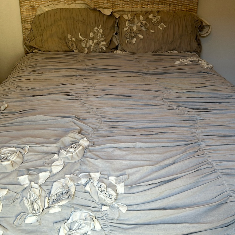 Soft Surroundings King Comforter and Standard Pillow Covers
